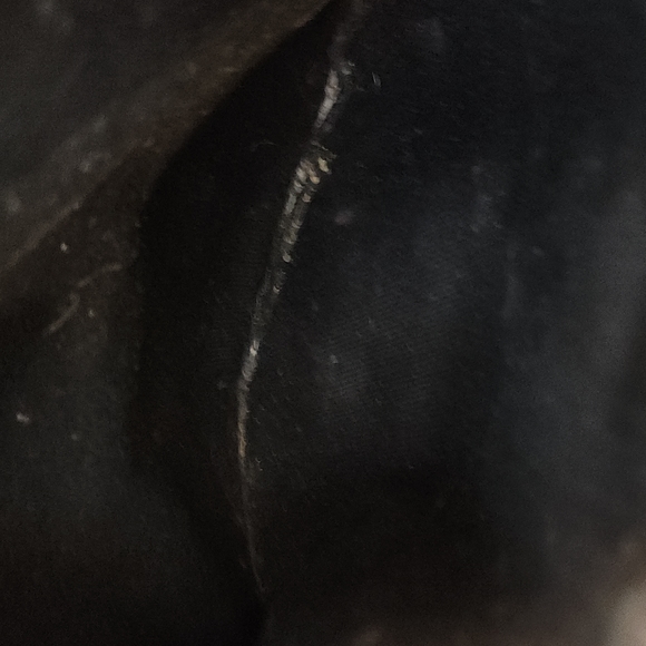 Stolen Girlfriends Club Round Floral Crossbody - Picture 11 of 15